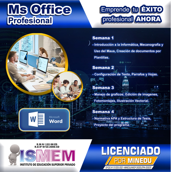 ms profesional